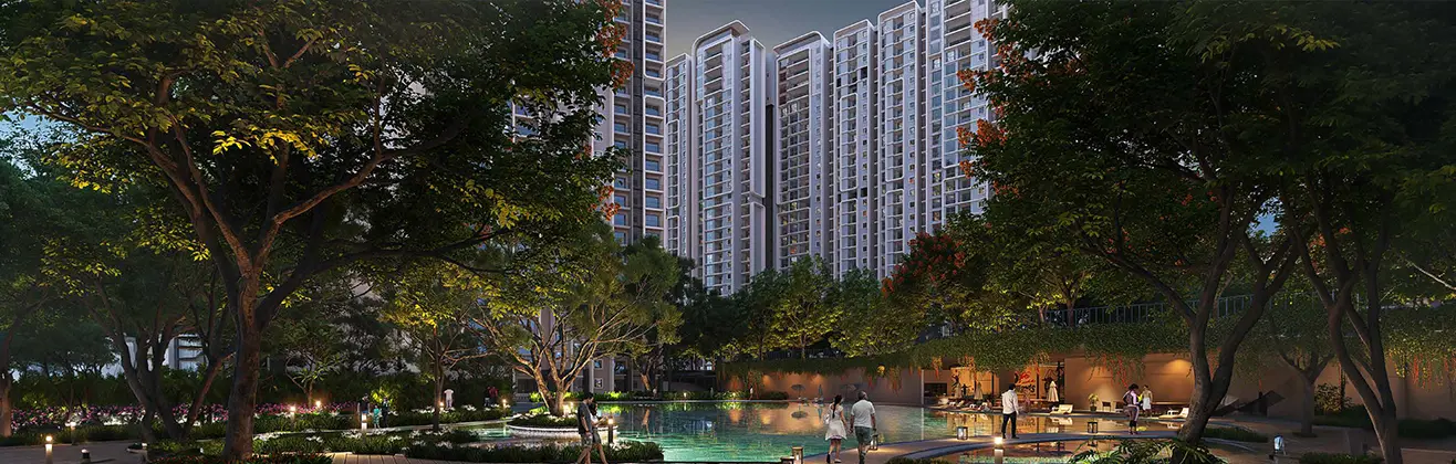 Purva Northern Lights