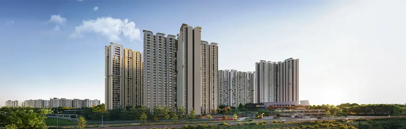 Purva Northern Lights